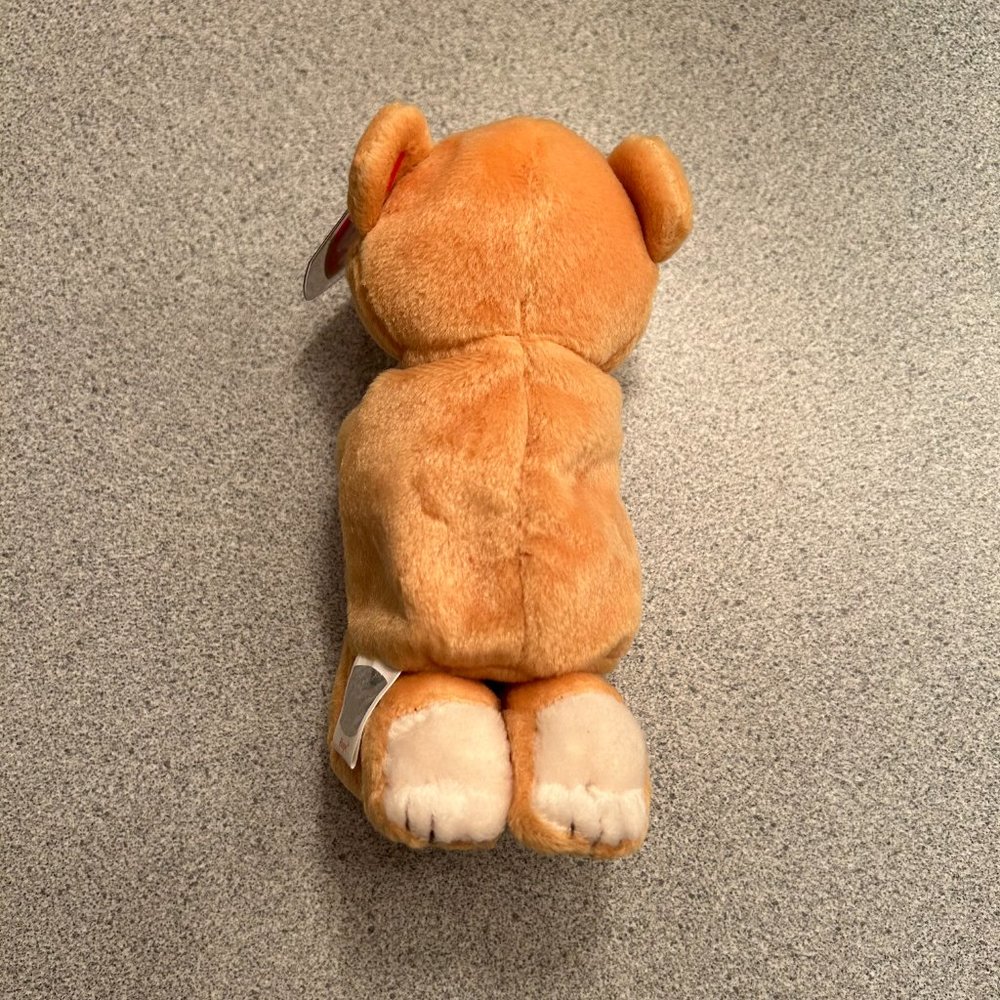HOPE "THE PRAYING BEAR" - Picture 3 of 8